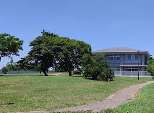 福田コミュニティセンターと公園（写真）